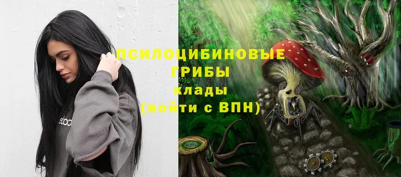 hydra ссылки  Белебей  Псилоцибиновые грибы Cubensis 